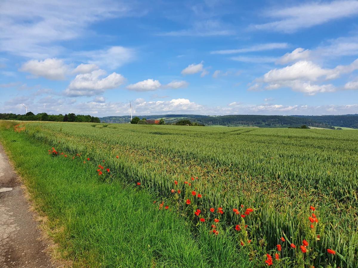 Ferienwohnung zum Wanderglück Höxter Exterior foto